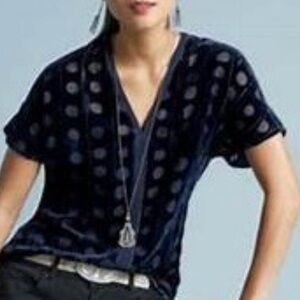 Cabi Spot On Blouse Womens S Blue Velvet Burnout V-Neck Short Sleeve Sheer #3507